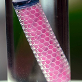 A close-up of a test tube