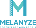 Melanyze logo